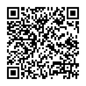 Códigos QR / Qr Codes