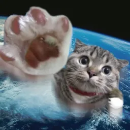 GatoVolador