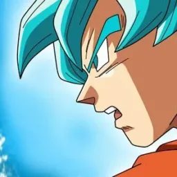 SoyGoku