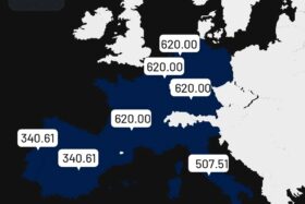 Imagen con precio del MWh para la franja horaria de 17 a 18 horas del 21 de diciembre de 2021