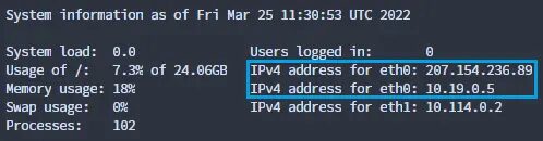 Captura de pantalla donde se muestran los datos de un servidor y se puede ver las IP's asigandas a cada interfaz de red