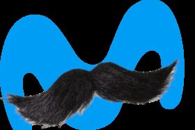 movigote.webp