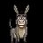 burrapaca