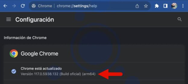 Comrpobando versión de Chrome