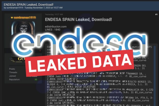 Endesa Spain leaked data