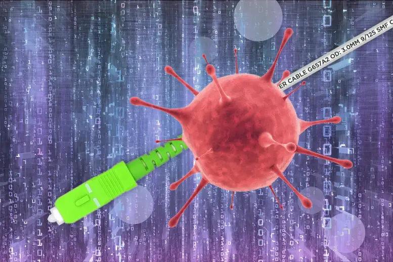 fibra optica virus