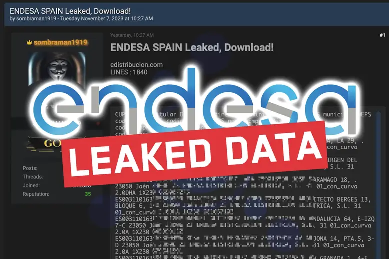 endesa spain leaked data