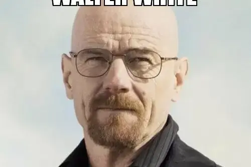 WALTER-WHITE-APPROVES