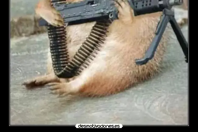 Rambo_Squirrel