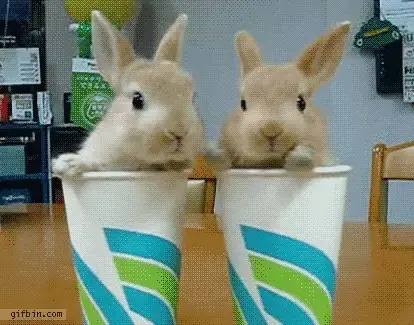 1286797934_bunnies-in-paper-cups