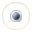 Kerberos31