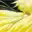 LoEn