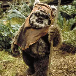 Ewok