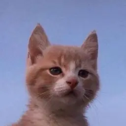aleki