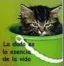 Gatuno