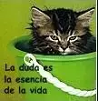 Gatuno