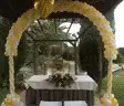 estrellamagica